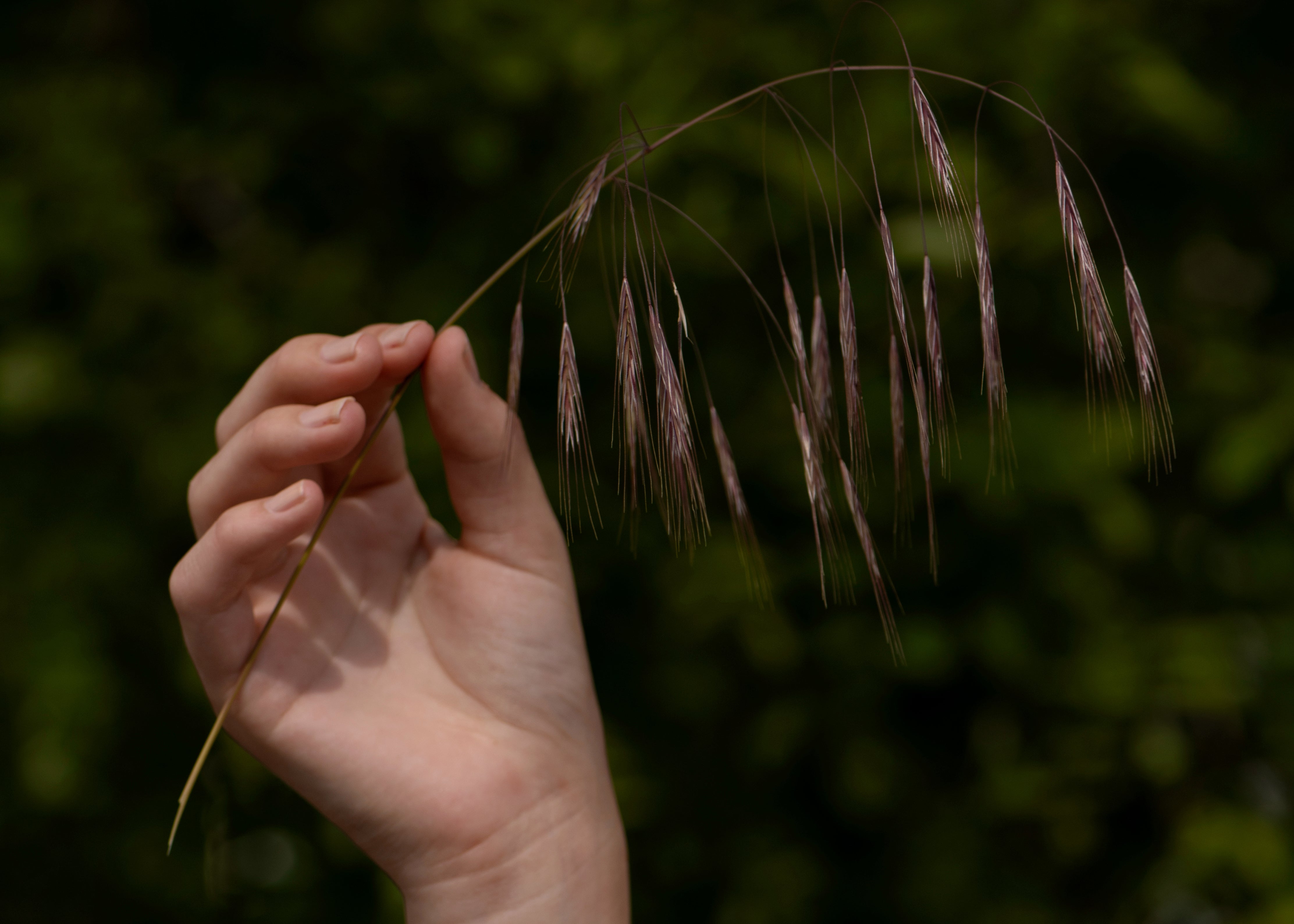 INSPIRATIE | Sieraden voor elke bruiloft