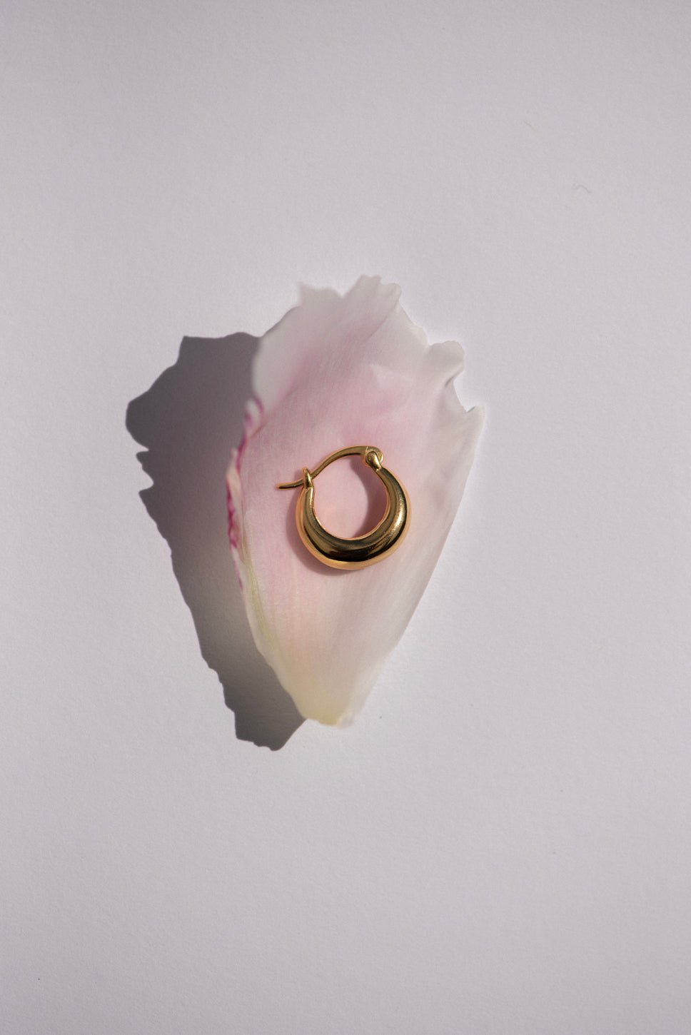 Oorbellen Galaxy - diverse maten - ONLINE EXCLUSIVE